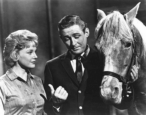 Mr Ed